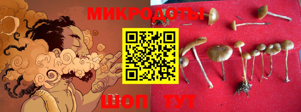Галлюциногенные грибы прущие грибы  Галлюциногенные грибы ЛСД  Геленджик  Вход с VPN 